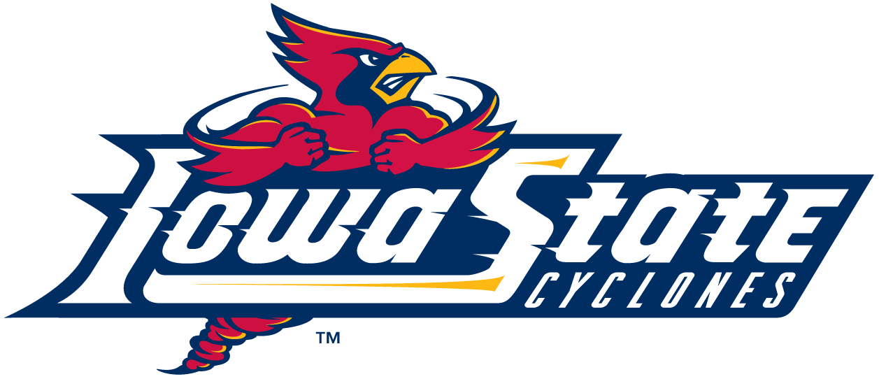 Iowa State Cyclones 1995-2007 Wordmark Logo v4 diy fabric transfer